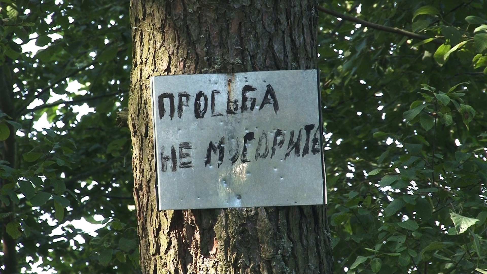 Картинки отдыхающих людей на природе Картинки отдыхающих людей на природе