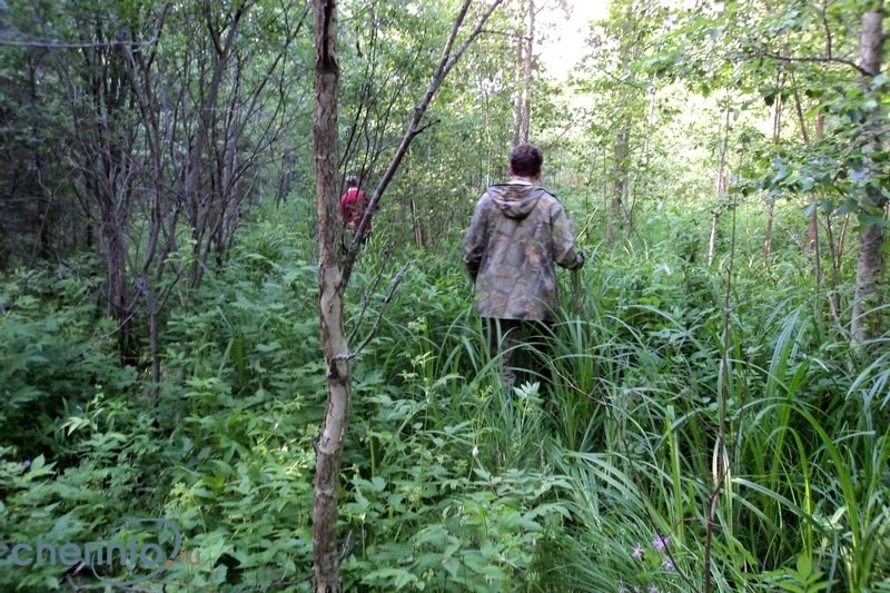 Грибника случайно нашли двое молодых людей, которые приехали в лес с палатками