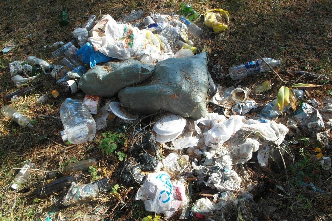  Более 100 мешков мусора собрали добровольцы в одном из излюбленных мест отдыха череповчан Фото: группа «Чистый берег» 