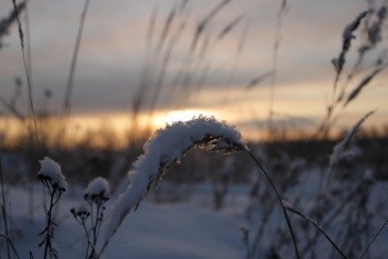  Ранний снег создал проблемы и сельским жителям Фото: http://www.fotonostra.ru/ 