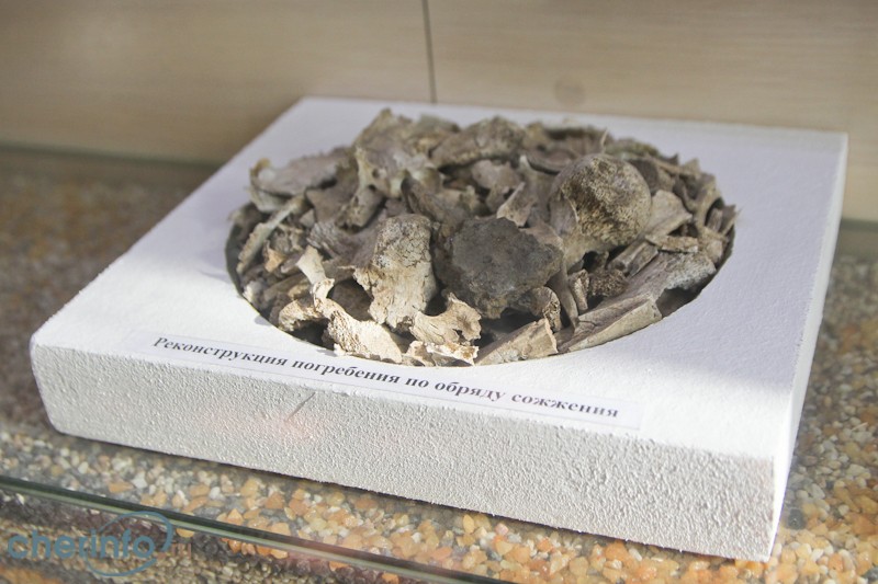 Cамые значимые находки сезона все желающие могут увидеть в Музее археологии