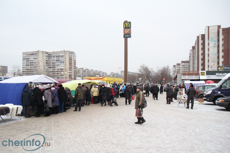 Участие в торговле подтвердили порядка 50 сельхозпроизводителей Вологодской области