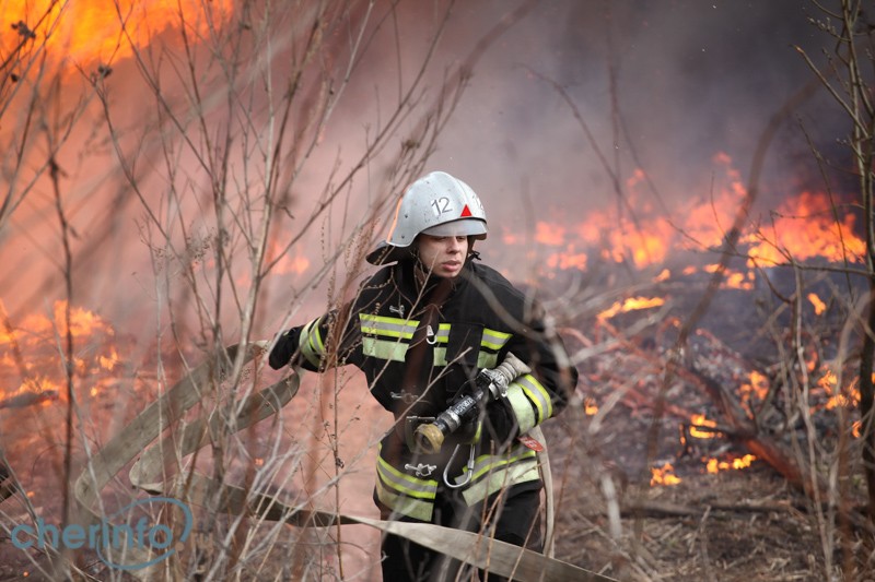 В Череповецком районе выгорело 100 гектаров сухой травы, в Череповце — 12 гектаров