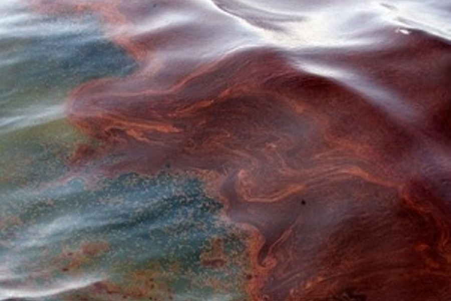 Спасатели считают, что нефтепродукты сбросило одно из проходящих по Шексне судов Фото: kh-news.net 