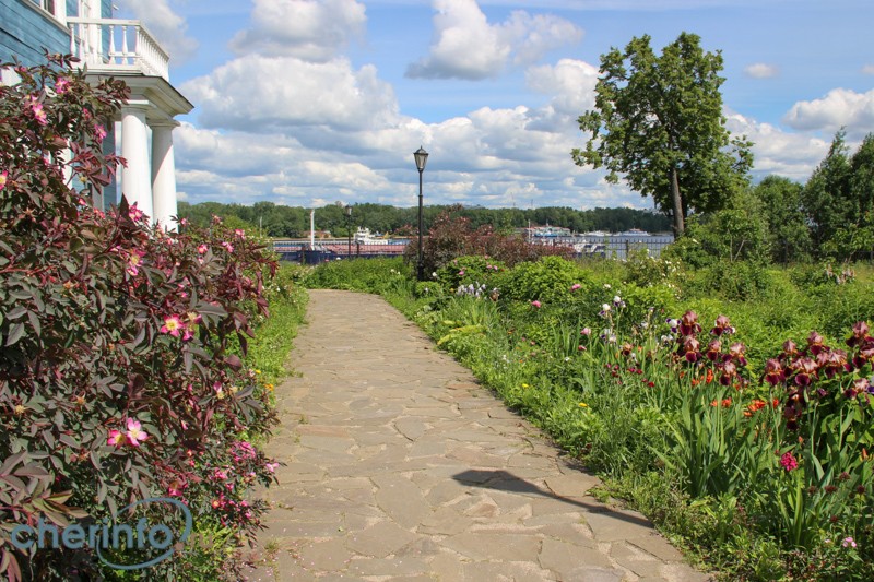 В основе композиции сада усадьбы Гальских — растения, которые высаживались здесь в XIX веке