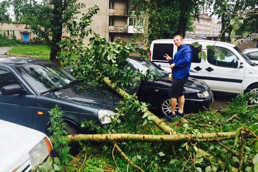  В Череповце ураган повалил 19 деревьев, в том числе во дворе на Кранодонцев, 26 Фото: vk.com, Егор Пирожков 