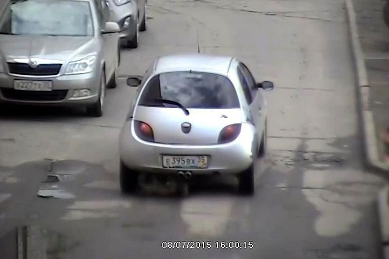 Установленная во дворе видеокамера сняла автомобиль, сбивший собаку