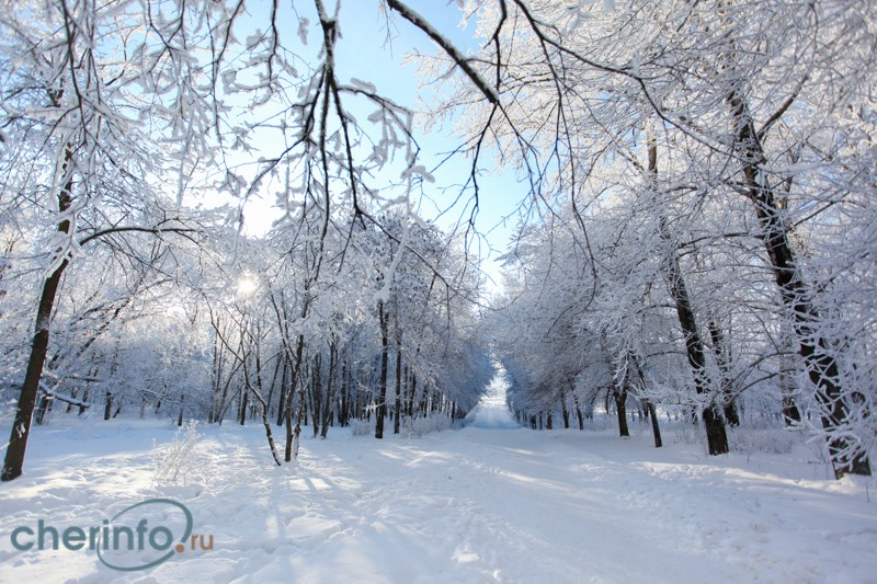 С 1 по 9 января по всей Вологодчине среднесуточная температура воздуха составит от -18 до -21 градуса