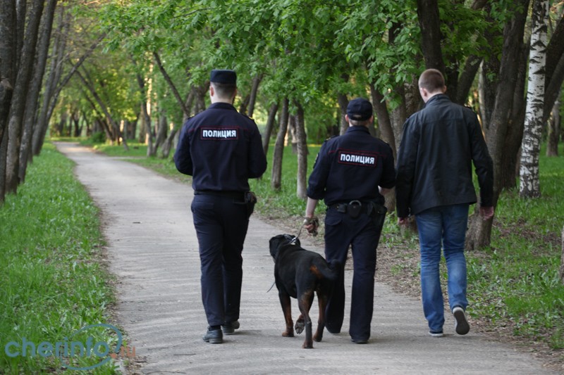 В Череповце возобновились совместные рейды полиции и дружинников в парках