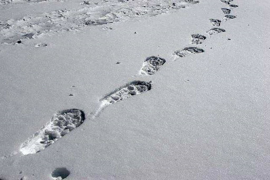 Келли на снегу - 66 фото
