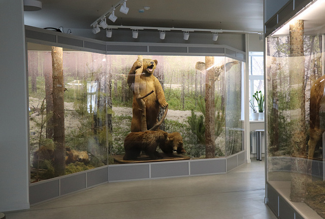 Афиша событие