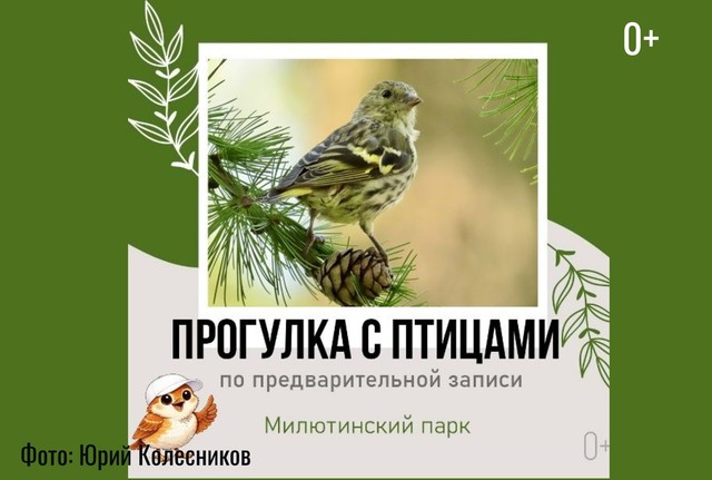 Афиша событие