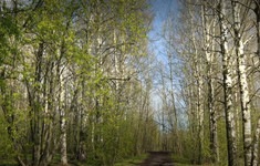 Рубрика