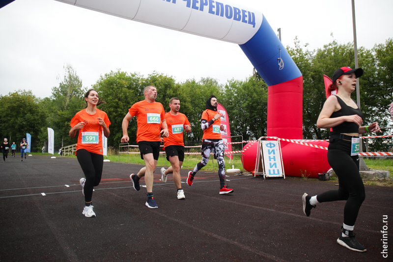 Новости Черинфо