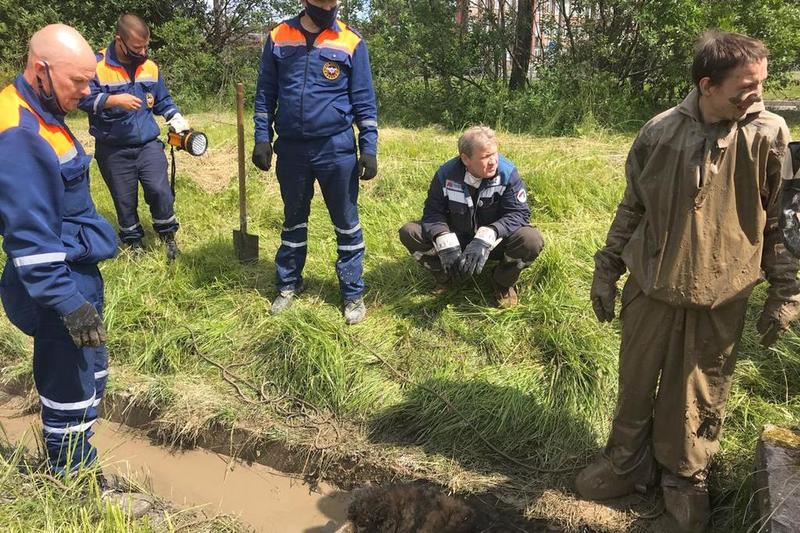 Водоканал череповец аварийная служба