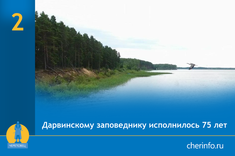 Cherinfo ru. Озеро надежды где находится. Общество озеро. Озеро надежды Мем.
