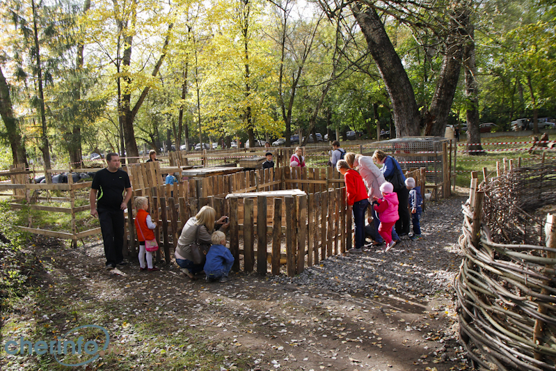 Череповец парк кио карта