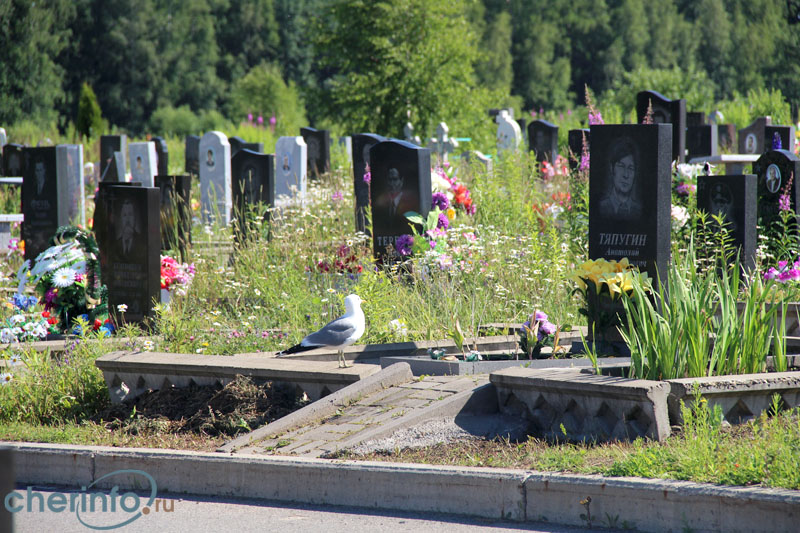 Кладбище 4 череповец карта захоронений