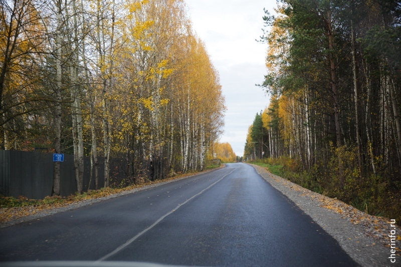 Новости Черинфо