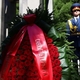 Фото: соцсети губернатора
