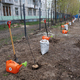 Новости Черинфо