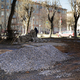 Ливневка в старом фонде