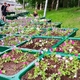 Новости Черинфо