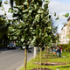 Новости Черинфо