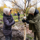 Новости Черинфо