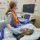 Фото: центр спасения медвежат-сирот