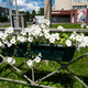 Новости Черинфо