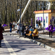 Новости Черинфо