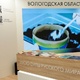 Новости Черинфо