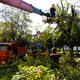 Новости Черинфо