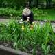 Цветы в Комсомольском парке