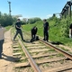 Новости Черинфо