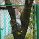 Новости Черинфо