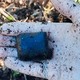 Фото: УМВД по&nbsp;Вологодской области