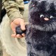 Новости Черинфо