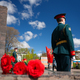 Новости Черинфо