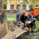 Новости Черинфо