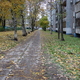 Новости Черинфо