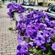 Фото: соцсети Андрея Накрошаева