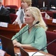 Новости Черинфо