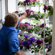 Новости Черинфо