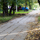 Новости Черинфо