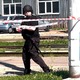 Новости Черинфо