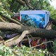 Ураган в Устюженском районе