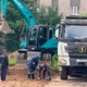 Новости Черинфо