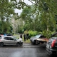 Фото: ГАИ Череповца